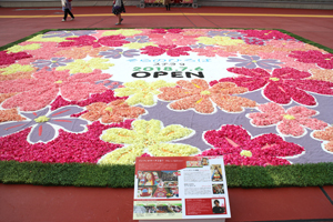 ①Flower carpet