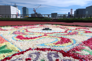 ①Flower carpet