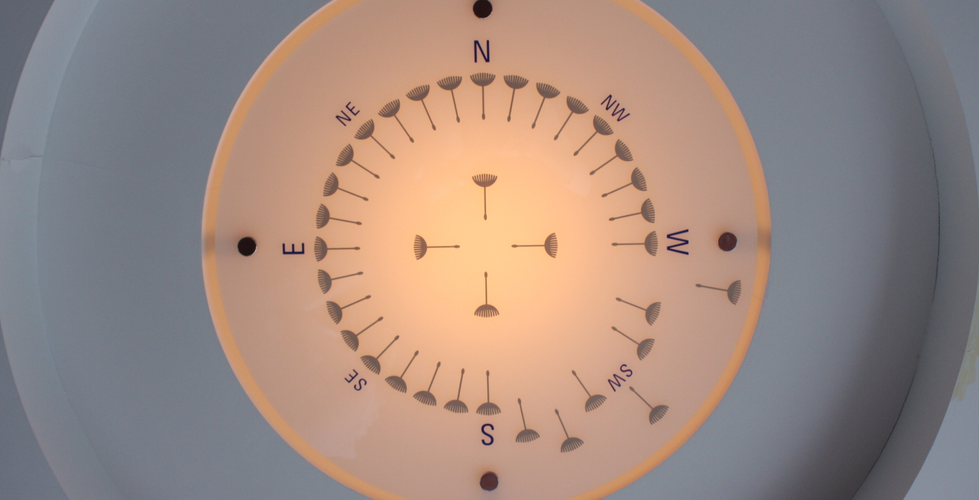 DANDELION COMPASS